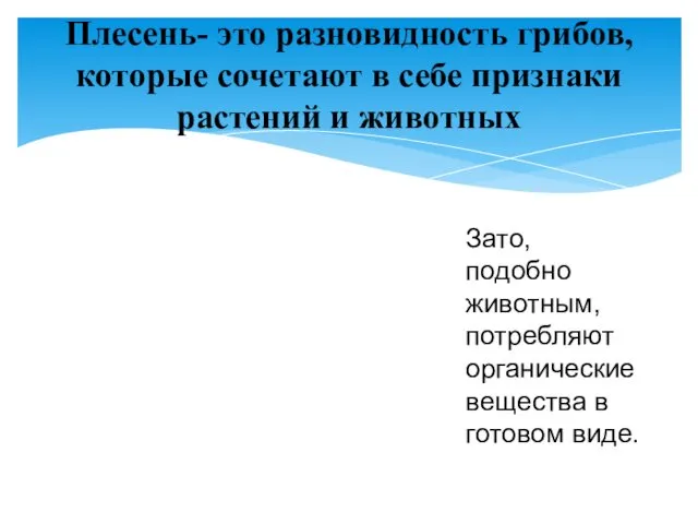 Плесень- это разновидность грибов, которые сочетают в себе признаки растений