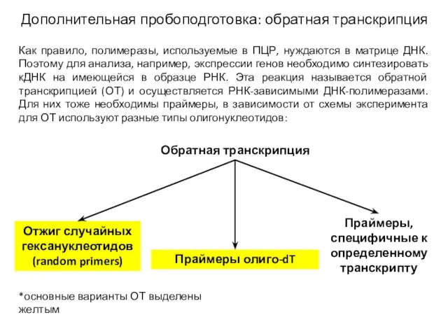 Дополнительная пробоподготовка: обратная транскрипция Обратная транскрипция Отжиг случайных гексануклеотидов (random