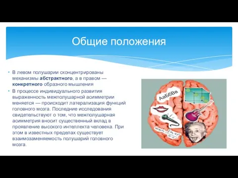 В левом полушарии сконцентрированы механизмы абстрактного, а в правом —