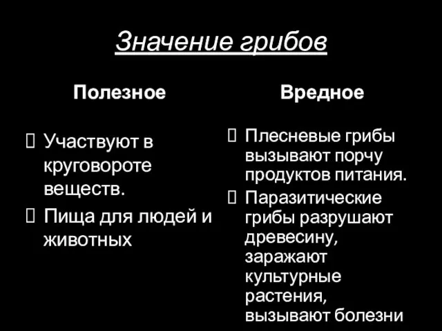 Значение грибов Полезное Участвуют в круговороте веществ. Пища для людей