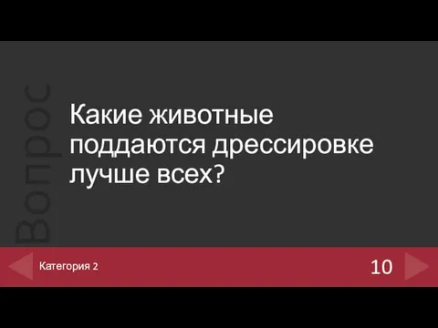 Какие животные поддаются дрессировке лучше всех? 10 Категория 2