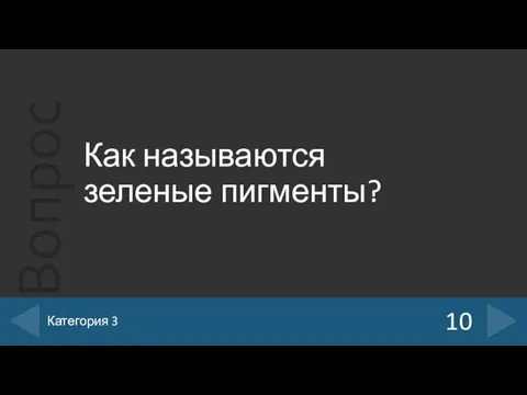 Как называются зеленые пигменты? 10 Категория 3