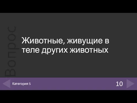 Животные, живущие в теле других животных 10 Категория 5