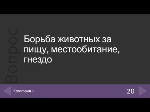 Борьба животных за пищу, местообитание, гнездо 20 Категория 5