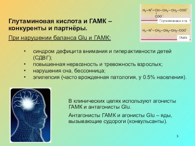 Глутаминовая кислота и ГАМК – конкуренты и партнёры. При нарушении