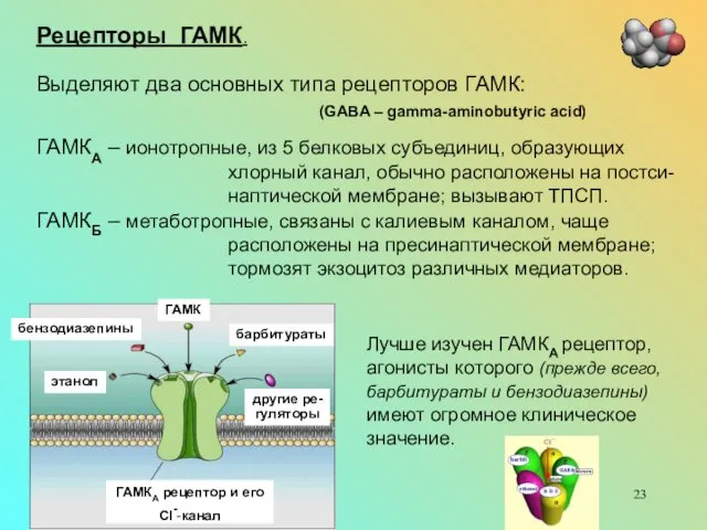 Рецепторы ГАМК. Выделяют два основных типа рецепторов ГАМК: (GABA –