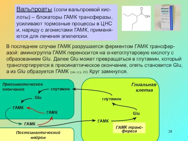 Вальпроаты (соли вальпроевой кис-лоты) – блокаторы ГАМК трансферазы, усиливают тормозные