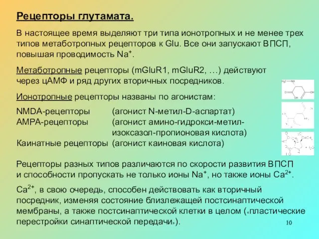 Рецепторы глутамата. В настоящее время выделяют три типа ионотропных и