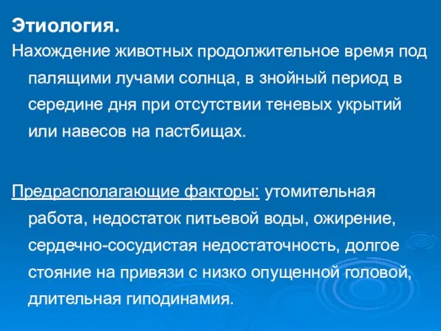 Этиология. Нахождение животных продолжительное время под палящими лучами солнца, в