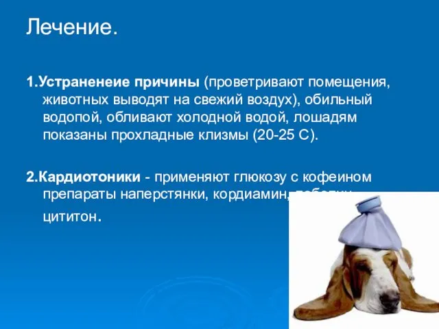 Лечение. 1.Устраненеие причины (проветривают помещения, животных выводят на свежий воздух),