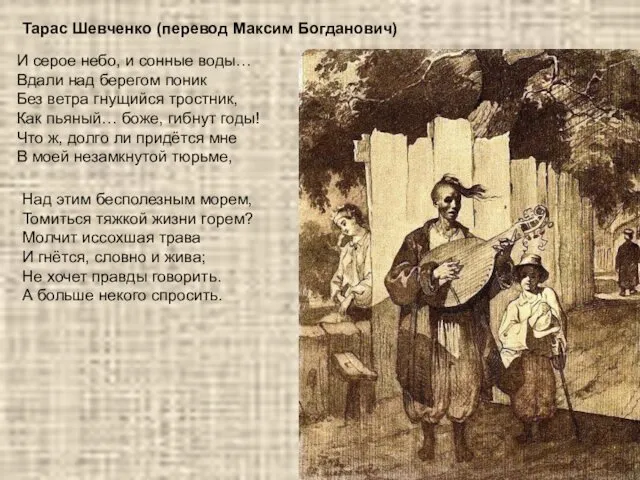 И серое небо, и сонные воды… Вдали над берегом поник