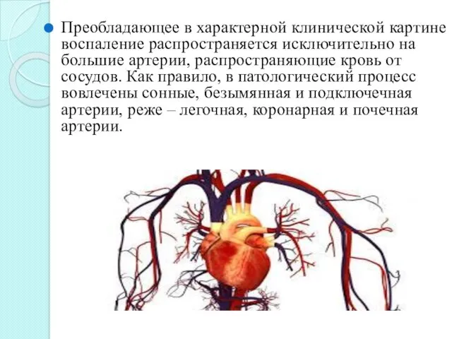 Преобладающее в характерной клинической картине воспаление распространяется исключительно на большие