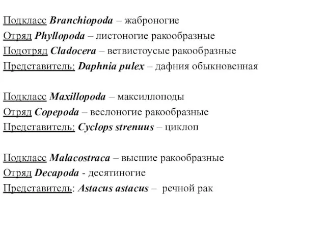 Подкласс Branchiopoda – жаброногие Отряд Phyllopoda – листоногие ракообразные Подотряд