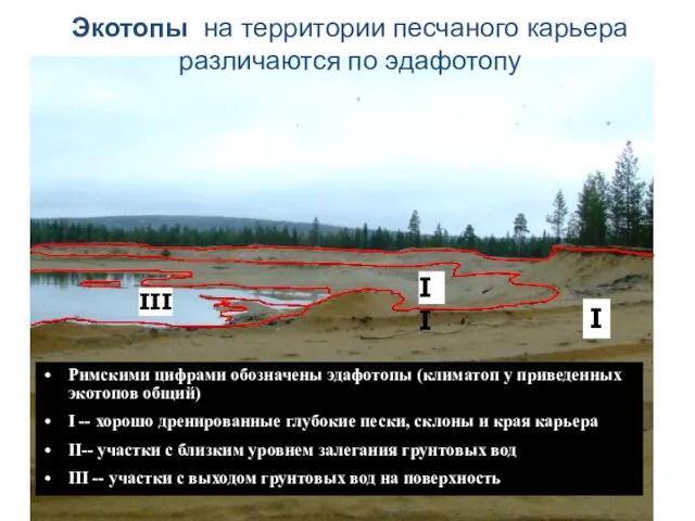 II III I Экотопы на территории песчаного карьера различаются по