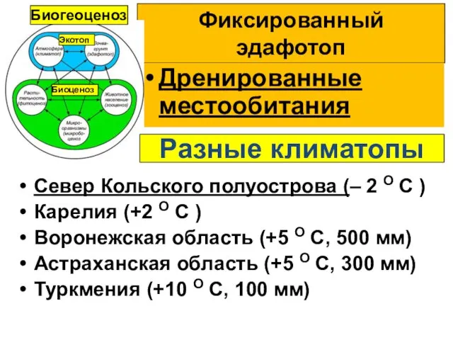 Фиксированный эдафотоп Дренированные местообитания Север Кольского полуострова (– 2 О