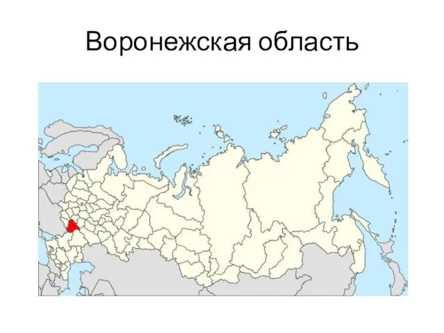 Воронежская область