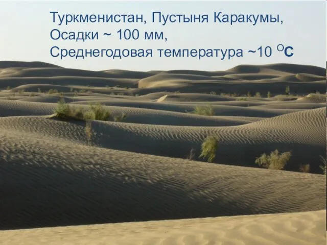 Туркменистан, Пустыня Каракумы, Осадки ~ 100 мм, Среднегодовая температура ~10 ОС