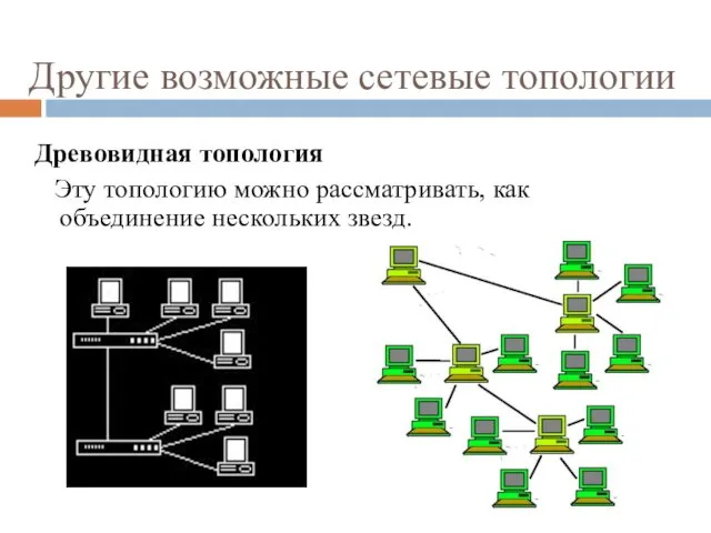 Другие возможные сетевые топологии Древовидная топология Эту топологию можно рассматривать, как объединение нескольких звезд.