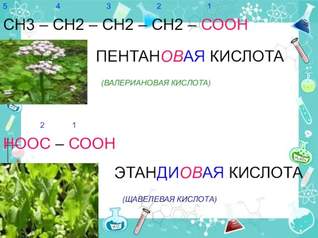 СН3 – СН2 – СН2 – СН2 – СООН ПЕНТАНОВАЯ