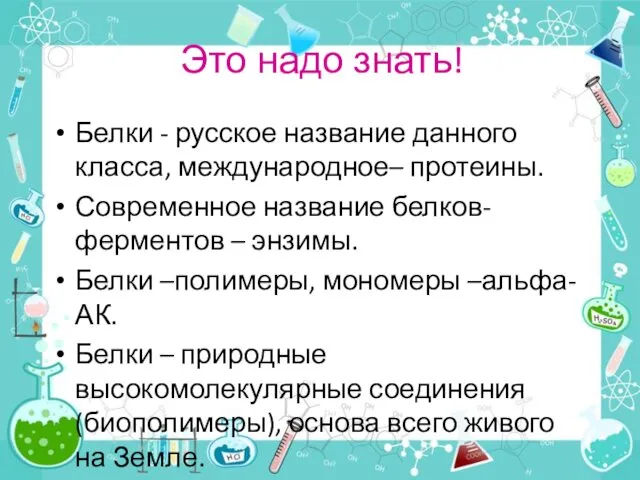 Это надо знать! Белки - русское название данного класса, международное–