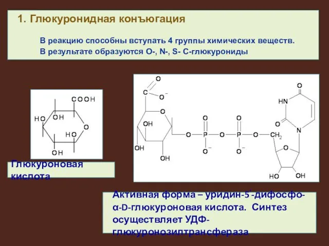 Активная форма – уридин-5‘-дифосфо-α-D-глюкуроновая кислота. Синтез осуществляет УДФ-глюкуронозилтрансфераза Глюкуроновая кислота
