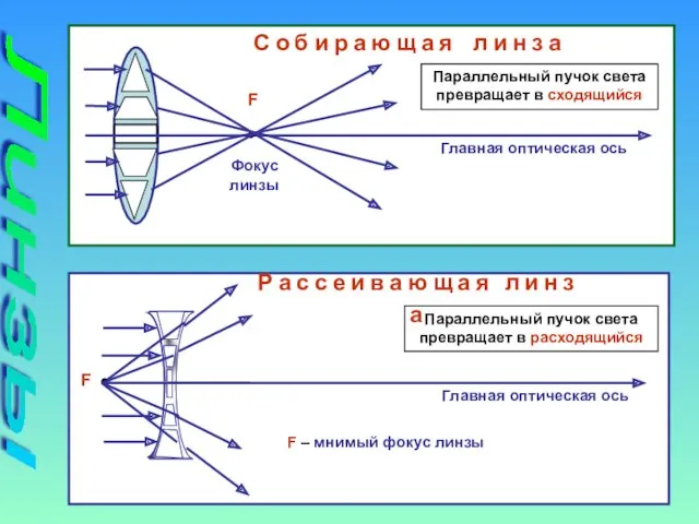 Линзы F Фокус линзы Главная оптическая ось С о б