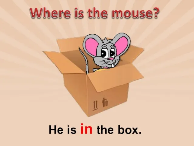 He is in the box.