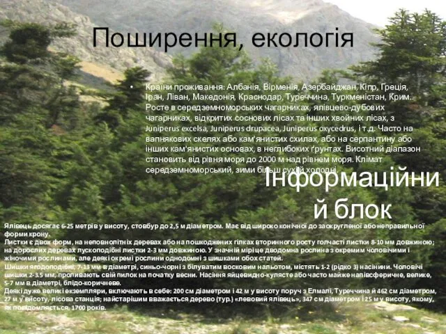 Поширення, екологія Ялівець досягає 6-25 метрів у висоту, стовбур до