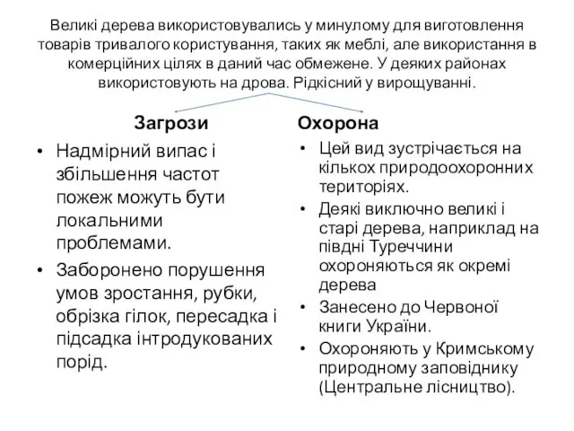 Великі дерева використовувались у минулому для виготовлення товарів тривалого користування,