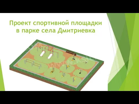 Проект спортивной площадки в парке села Дмитриевка
