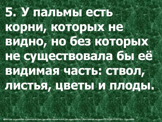 5. У пальмы есть корни, которых не видно, но без