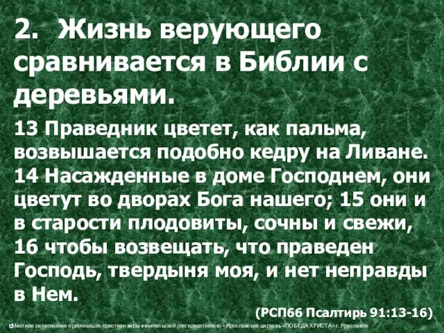 2. Жизнь верующего сравнивается в Библии с деревьями. 13 Праведник