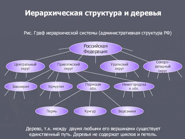 Иерархическая структура и деревья Рис. Граф иерархической системы (административная структура