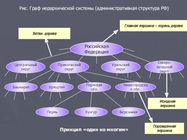 Рис. Граф иерархической системы (административная структура РФ) Российская Федерация Принцип