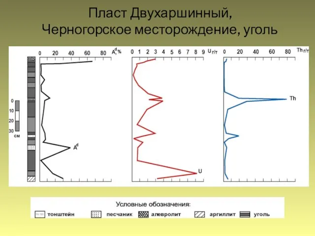 Пласт Двухаршинный, Черногорское месторождение, уголь