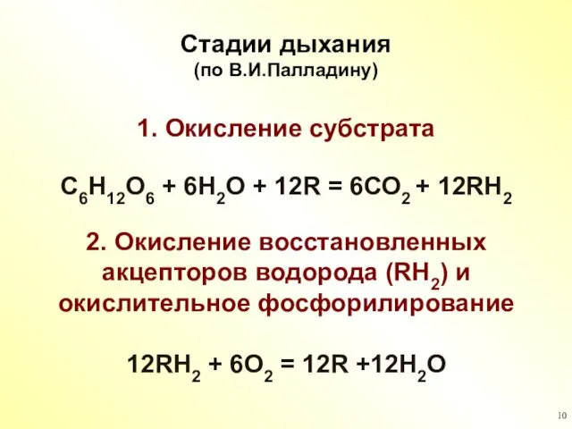 1. Окисление субстрата С6Н12О6 + 6Н2О + 12R = 6СО2 + 12RН2 Стадии