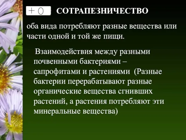 СОТРАПЕЗНИЧЕСТВО оба вида потребляют разные вещества или части одной и