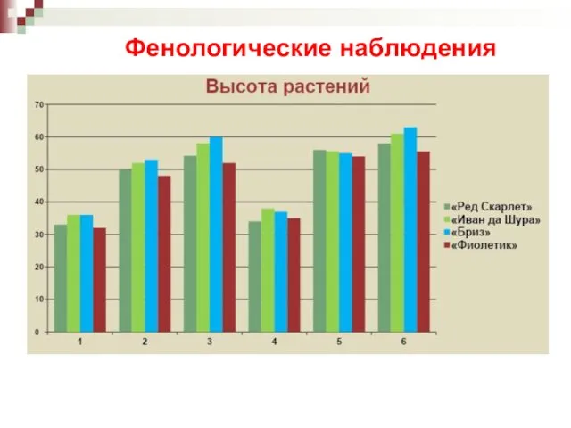 Фенологические наблюдения