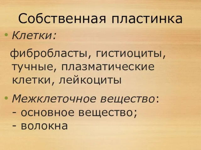 Собственная пластинка Клетки: фибробласты, гистиоциты, тучные, плазматические клетки, лейкоциты Межклеточное вещество: - основное вещество; - волокна