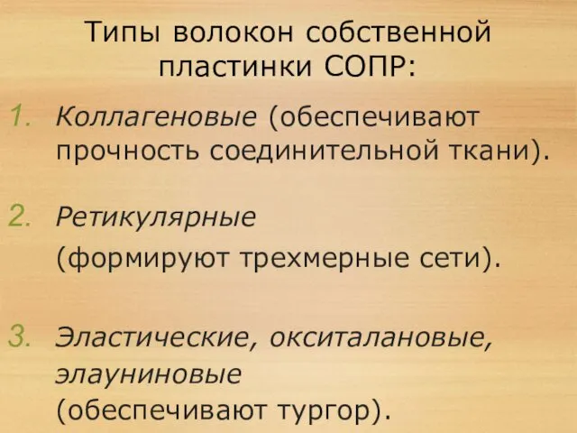 Типы волокон собственной пластинки СОПР: Коллагеновые (обеспечивают прочность соединительной ткани). Ретикулярные (формируют трехмерные