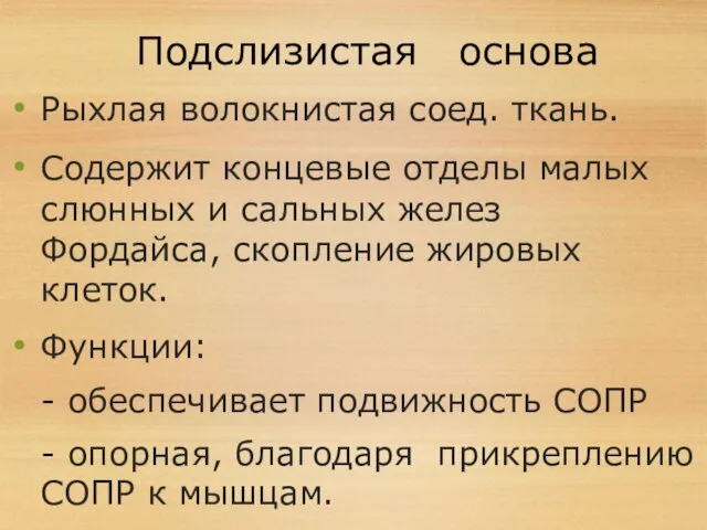 Подслизистая основа Рыхлая волокнистая соед. ткань. Содержит концевые отделы малых слюнных и сальных