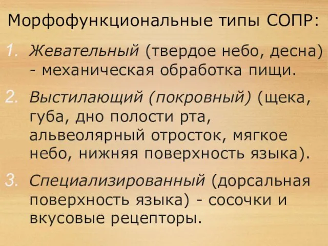 Морфофункциональные типы СОПР: Жевательный (твердое небо, десна) - механическая обработка