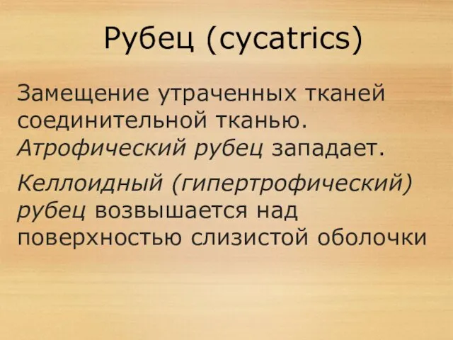 Рубец (cycatrics) Замещение утраченных тканей соединительной тканью. Атрофический рубец западает.