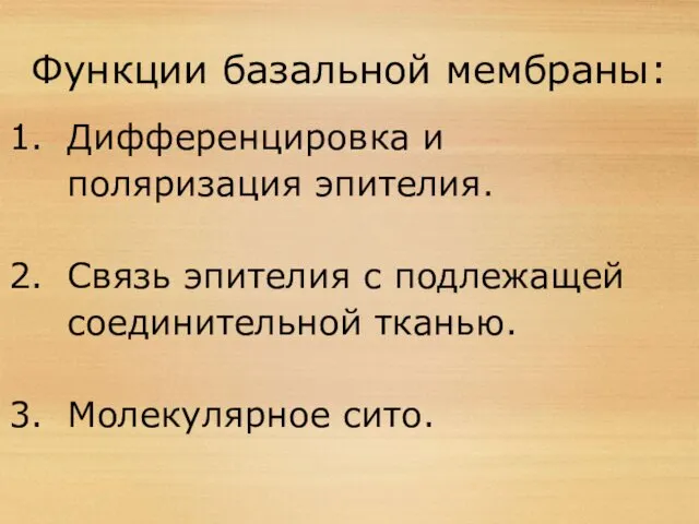 Функции базальной мембраны: Дифференцировка и поляризация эпителия. Связь эпителия с подлежащей соединительной тканью. Молекулярное сито.