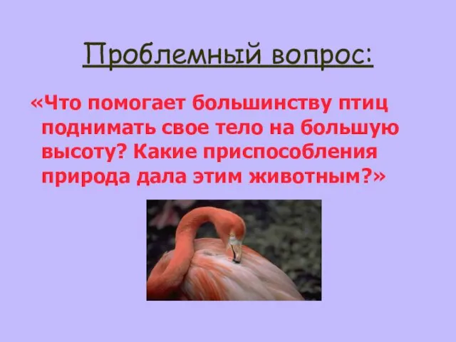 Проблемный вопрос: «Что помогает большинству птиц поднимать свое тело на