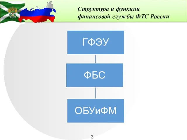 Структура и функции финансовой службы ФТС России