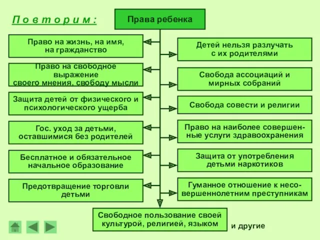 П о в т о р и м : Права