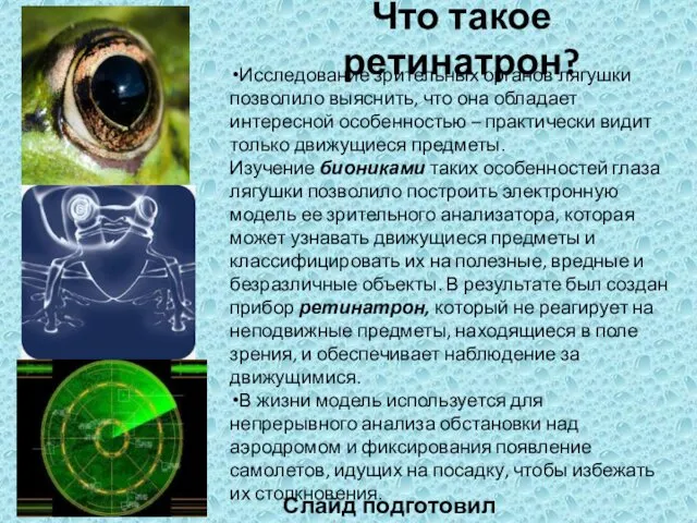 Что такое ретинатрон? Исследование зрительных органов лягушки позволило выяснить, что