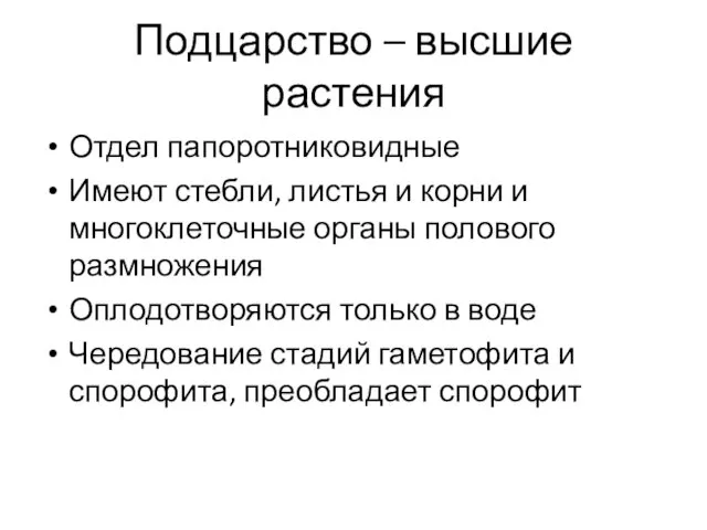 Подцарство – высшие растения Отдел папоротниковидные Имеют стебли, листья и