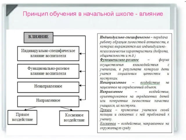 Принцип обучения в начальной школе - влияние